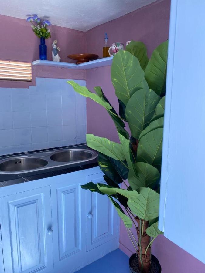 Eterna Primavera, A 40m De La Piscina Natural Hébergement de vacances